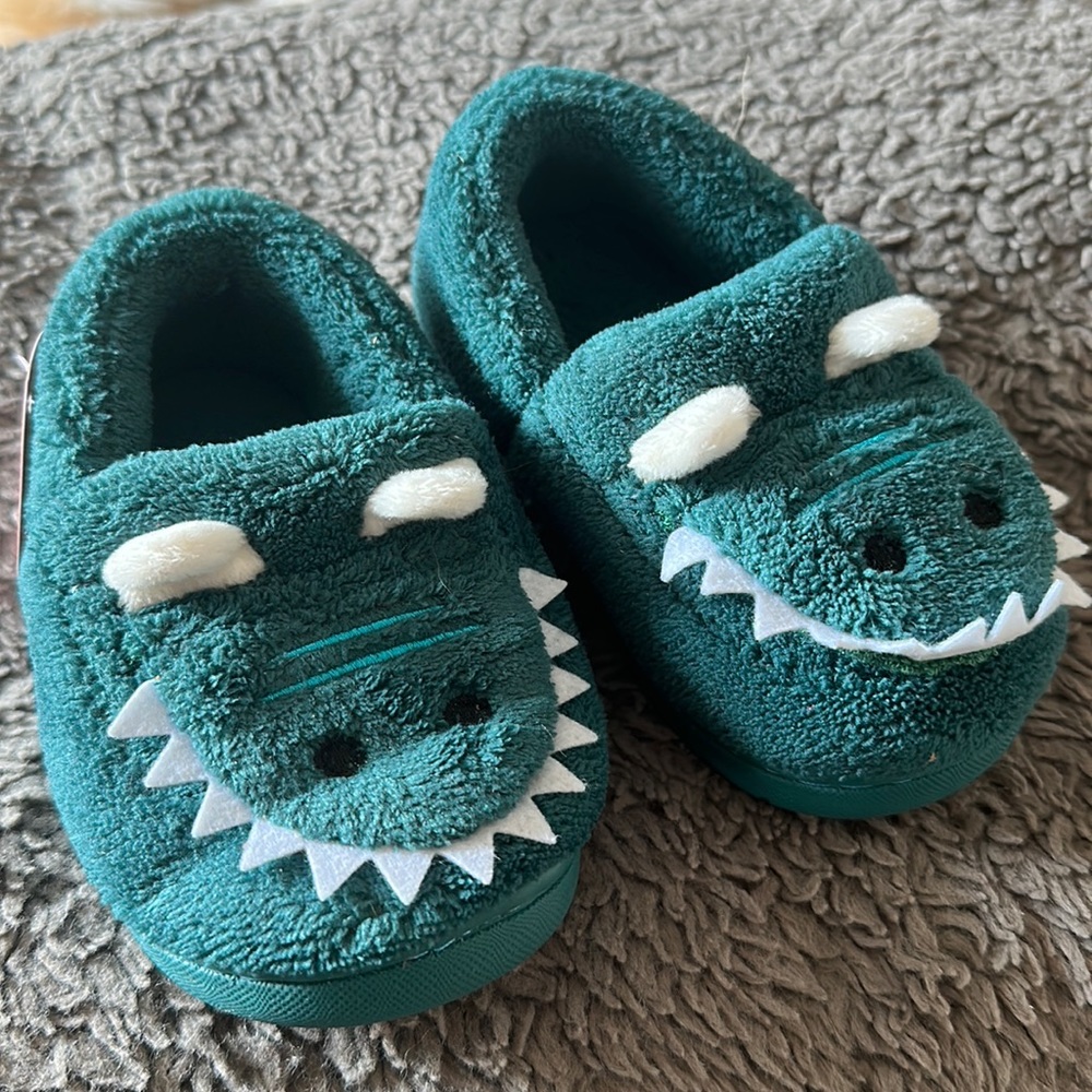 Toddler size 2 slippers. Never been worn.